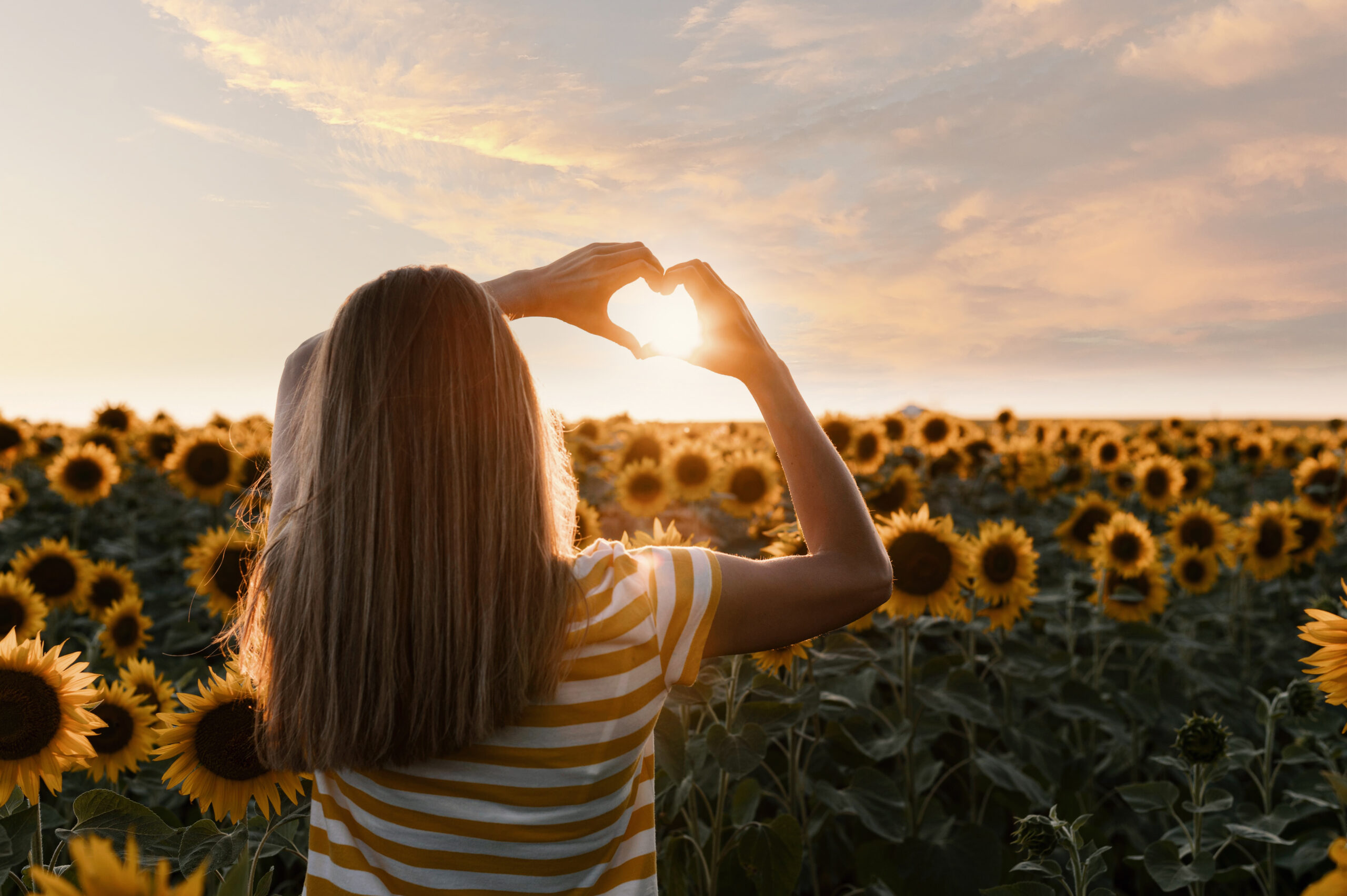 Mes prestations psychologue, hypnose, PNL, EMDR